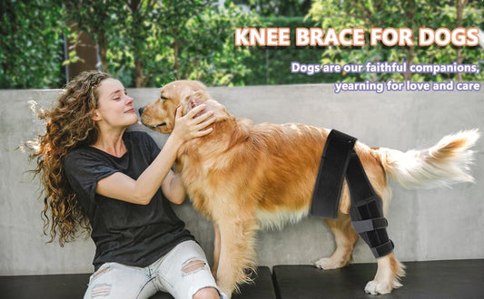 Unleash Your Dog's Mobility: Discover the Power of Trailrunpets' Handcrafted Dog Knee Braces