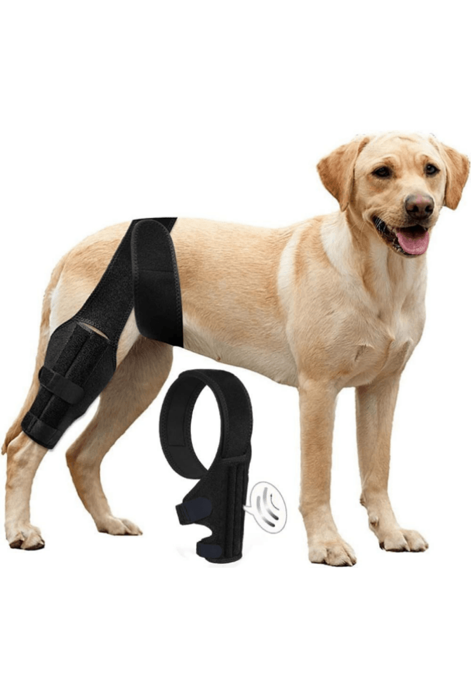 Knee Brace for Dogs - Cruciate Support