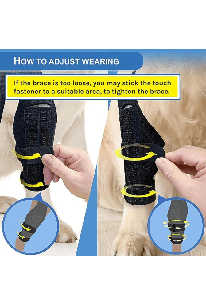 Knee Brace for Dogs - Cruciate Support