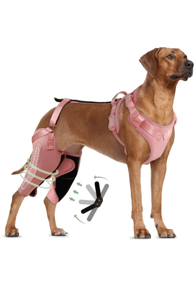 Double Knee Brace for Dogs