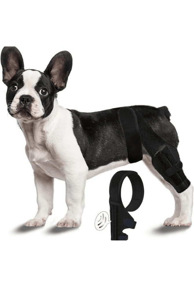 Knee Brace for Dogs - Cruciate Support