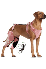 Double Knee Brace for Dogs