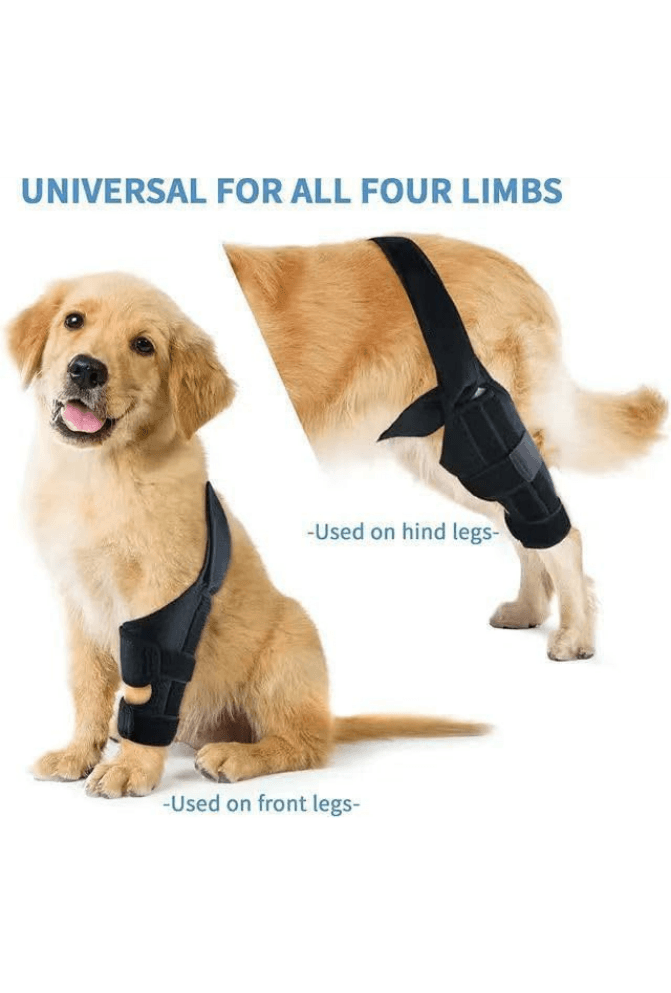 Knee Brace for Dogs - Cruciate Support