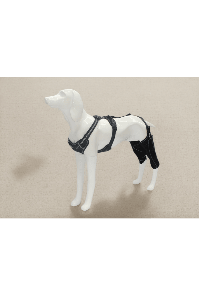 Double Knee Brace for Dogs