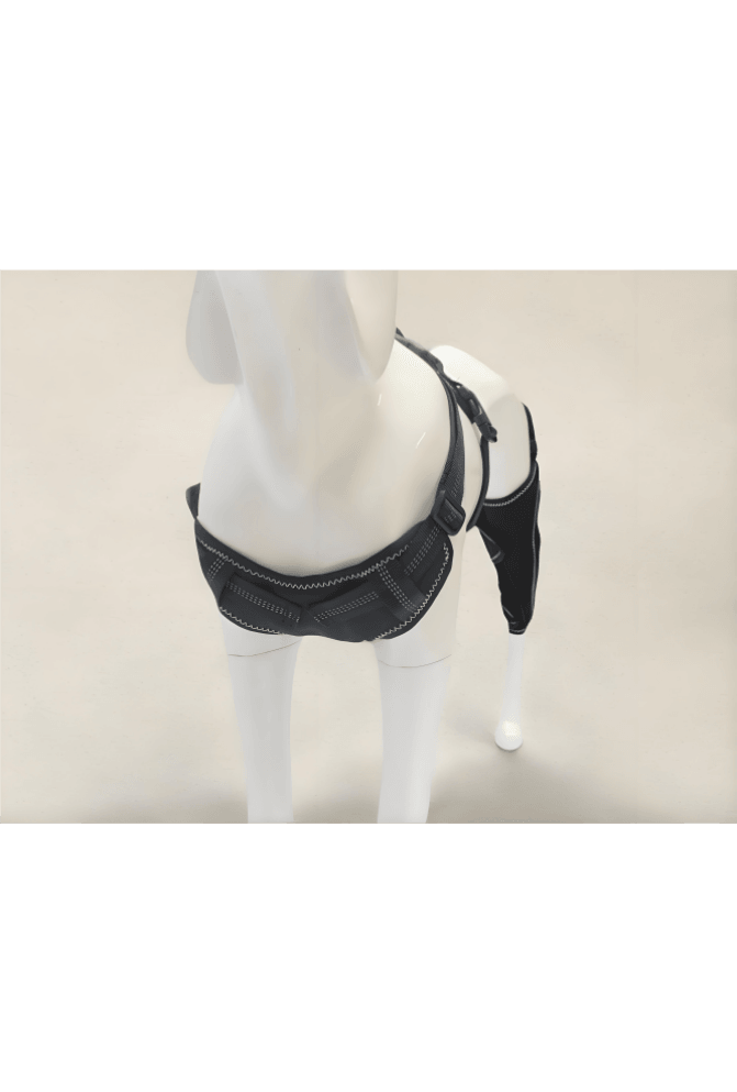 Double Knee Brace for Dogs