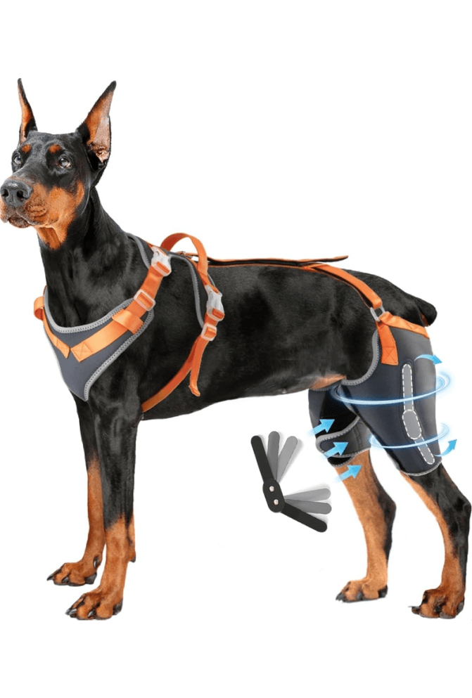 Double Knee Brace for Dogs