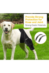 Knee Brace for Dogs - Cruciate Support